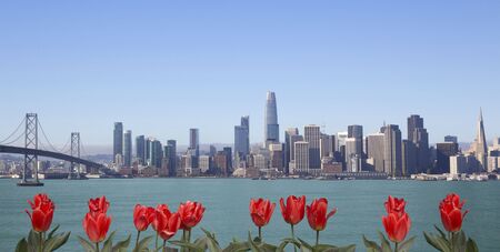 Beautiful skyline of San Francisco cityの写真素材