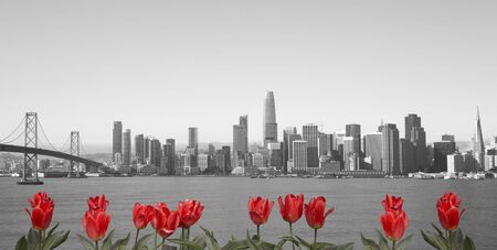 Beautiful skyline of San Francisco cityの写真素材