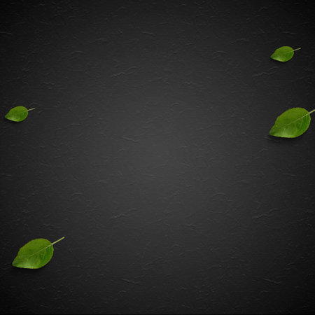 Leaves frame on black background. Flat lay, top view.