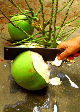 Cutting a coconut by knife before eatのeditorial素材