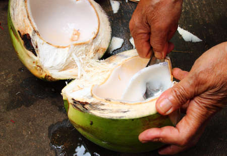hand and spoon picking cocoanut for eatのeditorial素材
