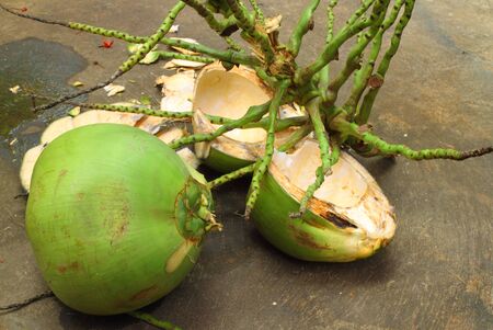 Coconut cpmpare between before and after ate.のeditorial素材