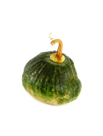 Green pumpkin isolated on white backgroundの写真素材