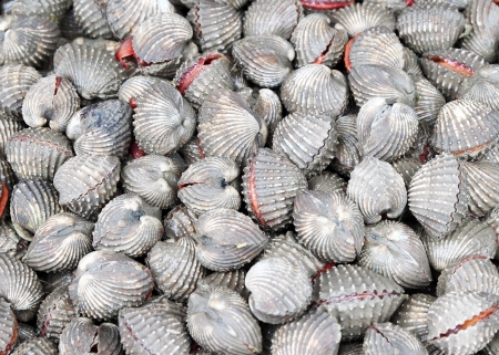 Cockles at the market ,Thailand
