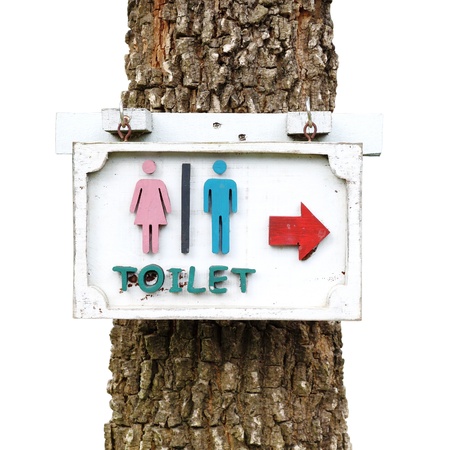 toilet sign with a tree on  white backgroundの写真素材