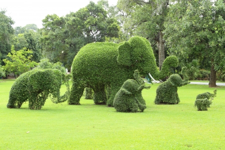 elephant decoration tree in the parkの写真素材