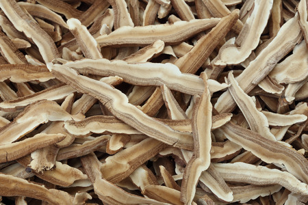 Dried Lingzhi mushroomの写真素材