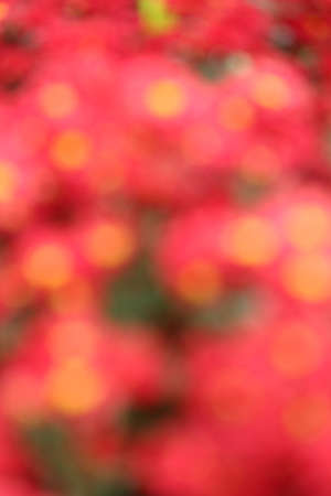 abstract blur background, colorful background, blurred, wallpaperの写真素材