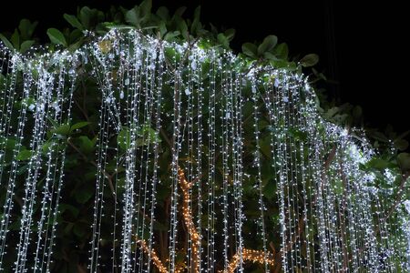 LED lighting decoration on a tree (celebrating event)