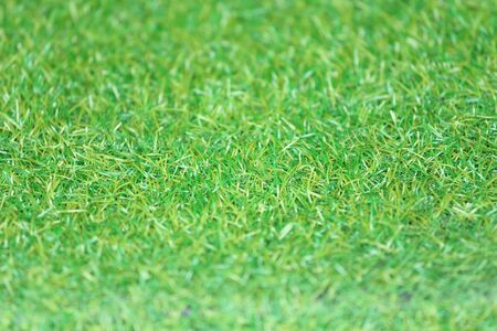 green grass texture for background (soft focus)の写真素材