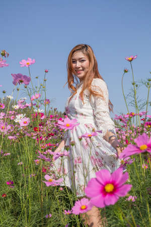 beautiful woman with the cosmos flower fieldの写真素材