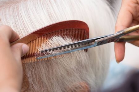 Hair stylist cutting senior woman's gray hairの写真素材