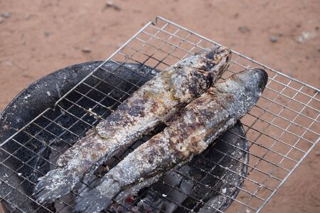 grill striped snakehead fish with salt over charcoalの写真素材