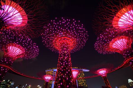 Gardens by the bay with colorful light at night, Singaporeのeditorial素材