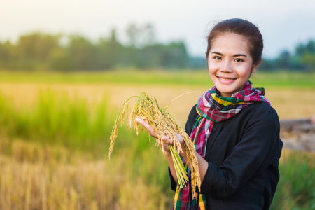 Farmer woman holding rice in field, Thailandの写真素材