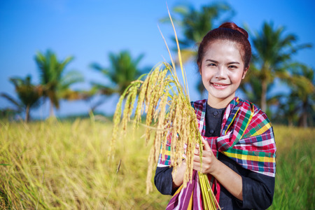 farmer woman holding rice in field, Thailandの写真素材