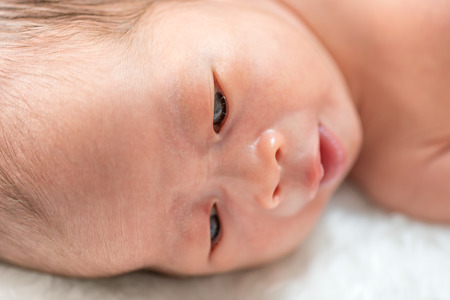 close up face of newborn baby boyの写真素材