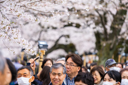 TOKYO, JAPAN - MARCH 29, 2019: Cherry blossom festival at Chidorigafuchi Park. Chidorigafuchi Park is one of the best place to enjoy itのeditorial素材