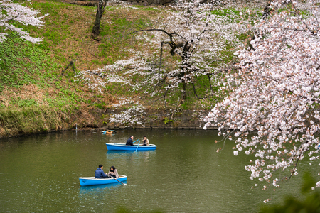 TOKYO, JAPAN - MARCH 29, 2019: Cherry blossom festival at Chidorigafuchi Park. Chidorigafuchi Park is one of the best place to enjoy itのeditorial素材
