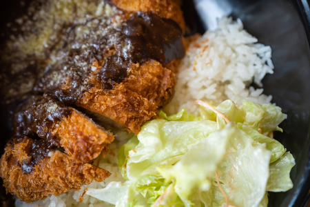 Crispy fried pork cutlet with curry rice on dishの写真素材
