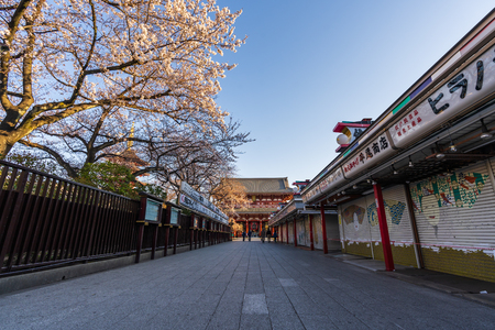 TOKYO, JAPAN - March 27, 2019: Spring cherry blossoms at Sensoji Temple, Tokyo, Japanのeditorial素材