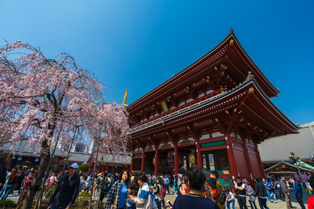 TOKYO, JAPAN - March 27, 2019: Unidentified people visit Sensoji temple with cherry blossom in Asakusa, Tokyo, Japanのeditorial素材