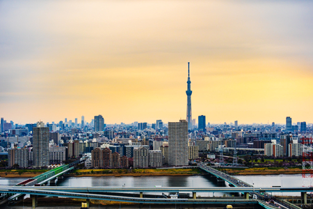 Tokyo cityscape at sunset, Japanのeditorial素材