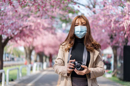 young woman traveler wearing face mask and looking cherry blossoms or sakura flower blooming in the parkの写真素材