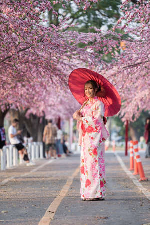 woman in yukata (kimono dress) holding umbrella and looking sakura flower or cherry blossom blooming in the gardenの写真素材