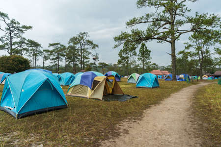 tourist tent on a meadow at Phu Kradueng, Loei province, Thailandの写真素材