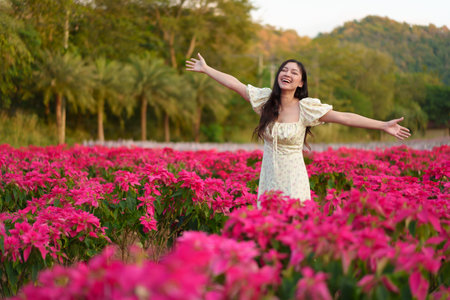 beautiful woman in a dress enjoying blooming poinsettia (traditional Christmas flower) fieldの写真素材
