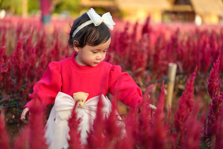 happy toddler girl enjoying celosia flower blooming in fieldの写真素材
