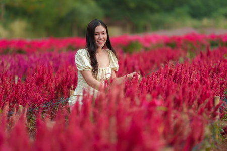 beautiful woman in a dress enjoying celosia flower blooming in fieldの写真素材