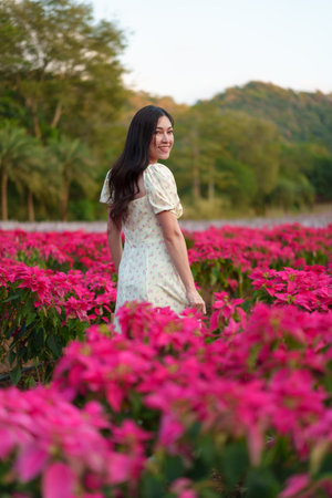 beautiful woman in a dress enjoying blooming poinsettia (traditional Christmas flower) field