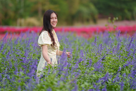 beautiful woman in a dress enjoying blooming lavender flower fieldの写真素材