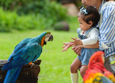 mother and her daughter feeding blue-and-yellow macaw (Ara ararauna) bird on handの写真素材