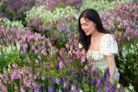 beautiful woman in a dress enjoying Angelonia flower blooming in fieldの写真素材