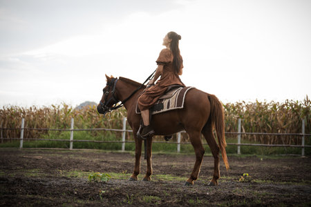 happy woman riding brown horse on meadow field with sunlightの写真素材