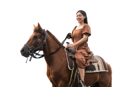 happy woman riding brown horse isolated on a white backgroundの写真素材