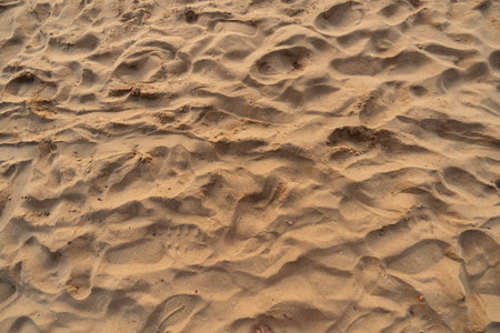 background of sand on the beachの写真素材