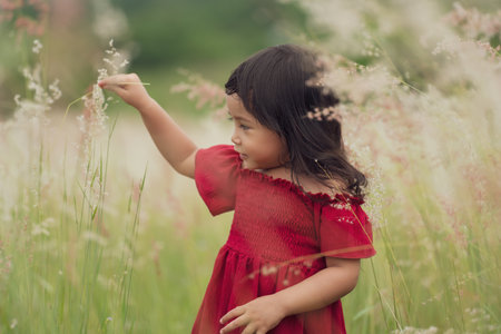 cheerful toddler girl in red dress playing grass flower in fieldの写真素材