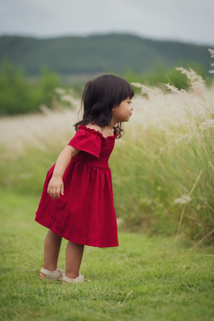cheerful toddler girl in red dress playing grass flower in fieldの写真素材