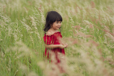 cheerful toddler girl in red dress playing grass flower in fieldの写真素材