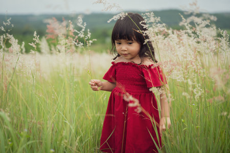 cheerful toddler girl in red dress playing grass flower in fieldの写真素材