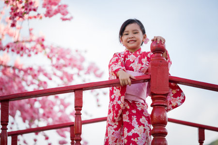 preschool child girl in yukata (kimono dress) on red bridge with sakura flower or cherry blossom blooming in the gardenの写真素材