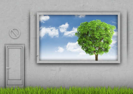 Green fresh grass amid the concrete wall with sky and tree in windowの写真素材