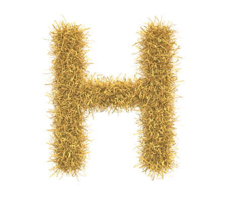 Three-dimensional illustration of letter of hay isolated on white backgroundの写真素材