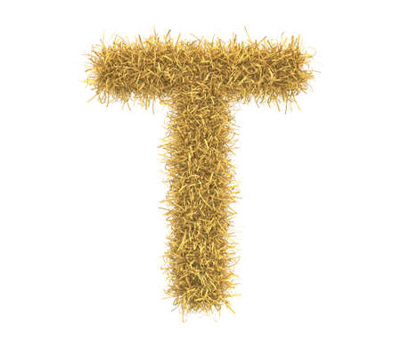Three-dimensional illustration of letter of hay isolated on white backgroundの写真素材