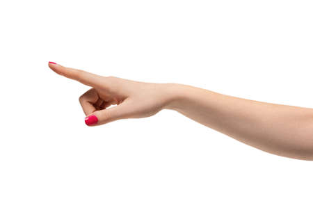 Hand isolated on white backgroundの写真素材