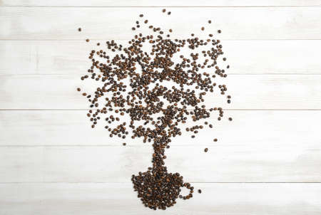 Top view of coffee beans making shape of tree.